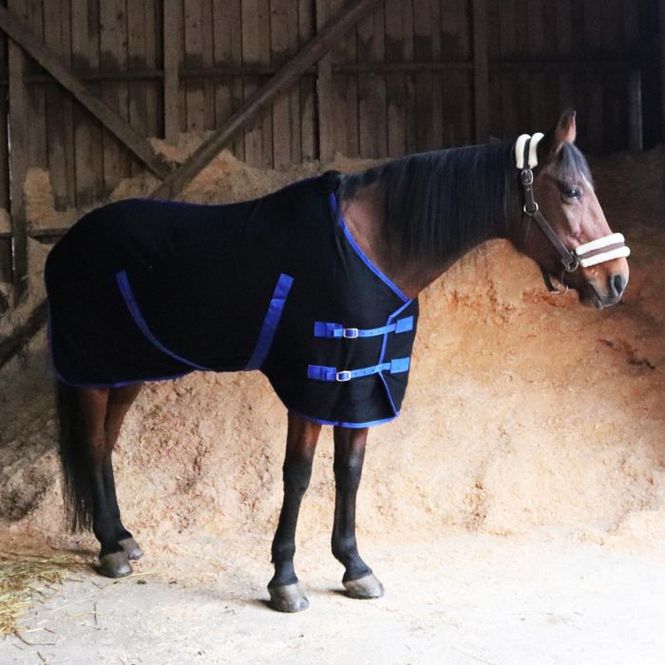 Hovedbilde Ulldekken Best on Horse