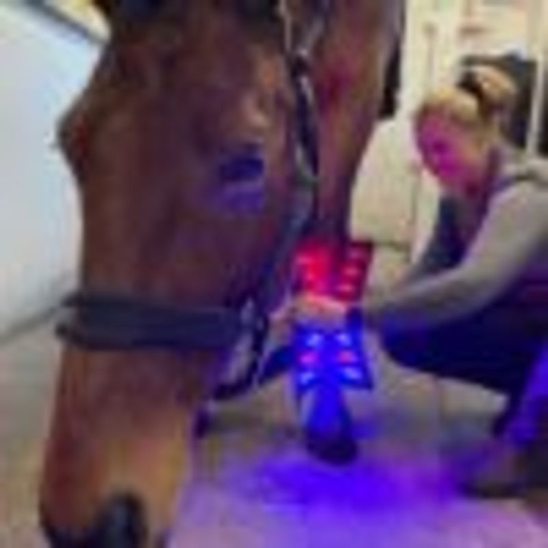 Riislund Light Therapy BLUE Pro - BESTILLINGSVARE