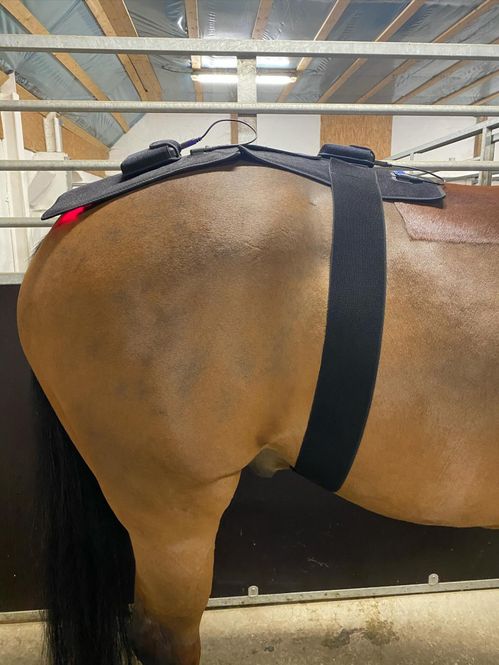 Hovedbilde Riislund Light Therapy MIX Pro 