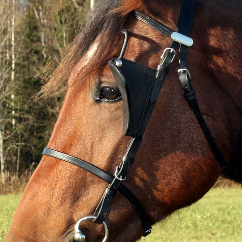 Cant see back skylapper med kinnstropper