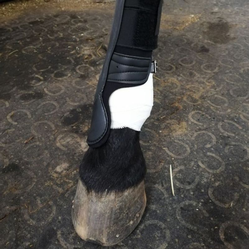 Dr.Horse Knee tape