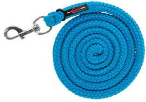 Hovedbilde Leietau Hippo