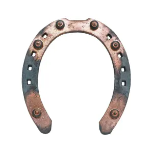 Hovedbilde Gullsko fram 18x6