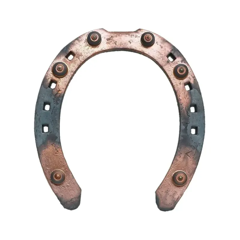 Gullsko fram 18x6